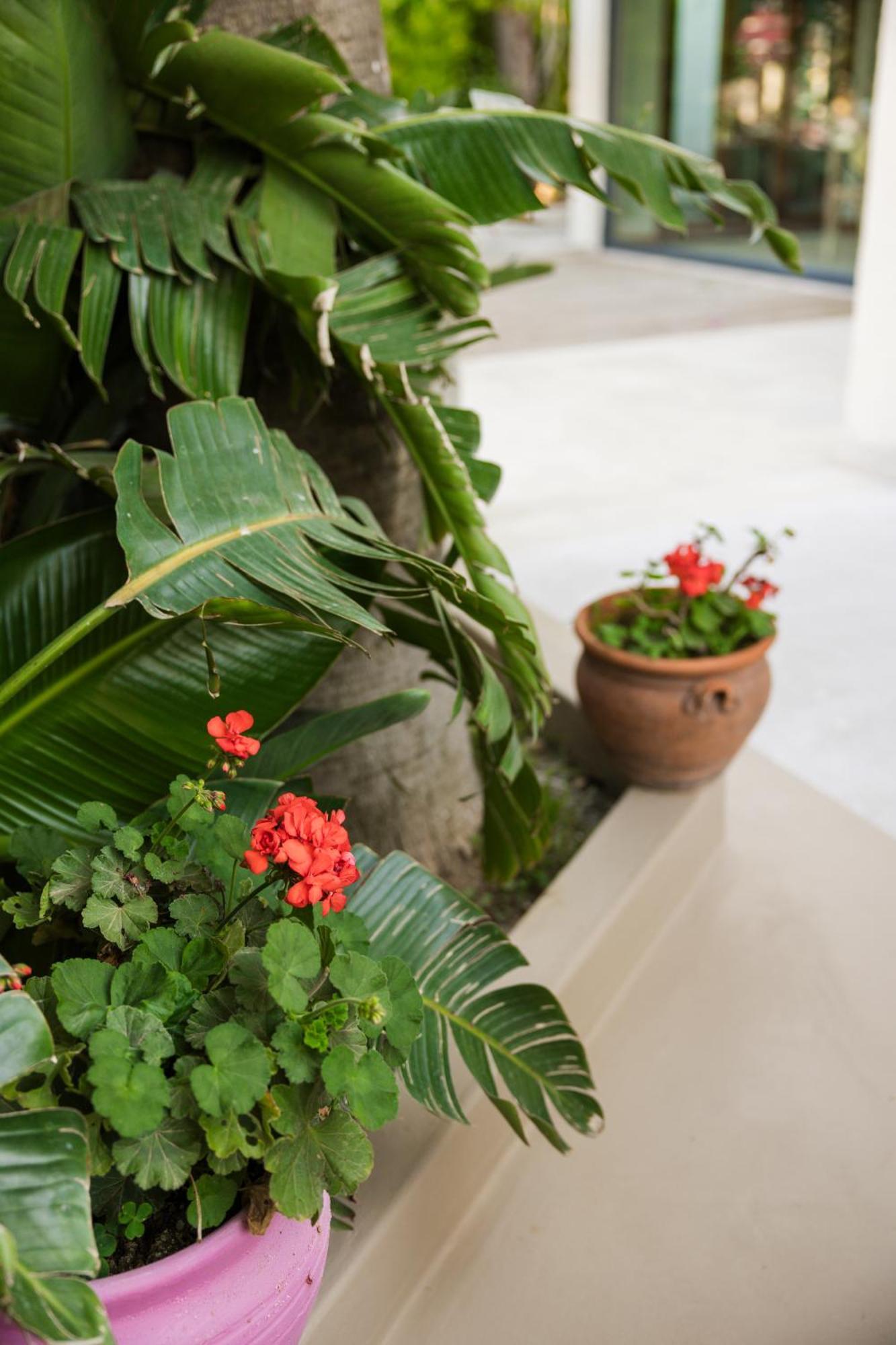 Bitez Corner Boutique Hotel 외부 사진